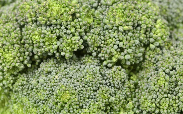 Fresh broccoli in close up. — Stock Photo, Image