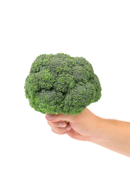 Mano con un mazzo di broccoli — Foto Stock