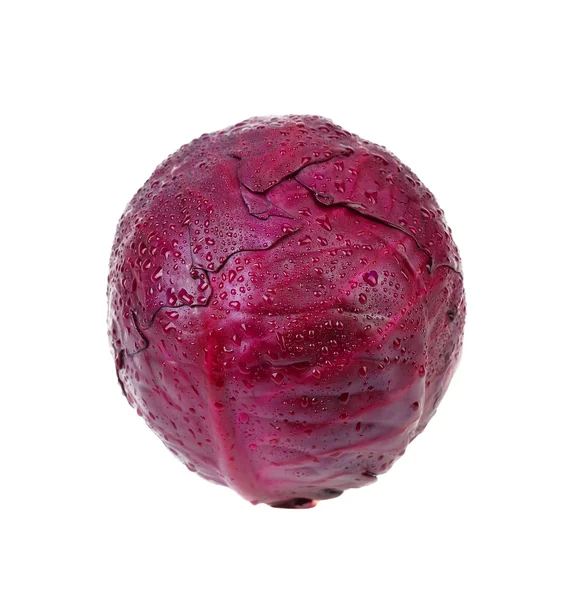 Red cabbage. — Stock Photo, Image