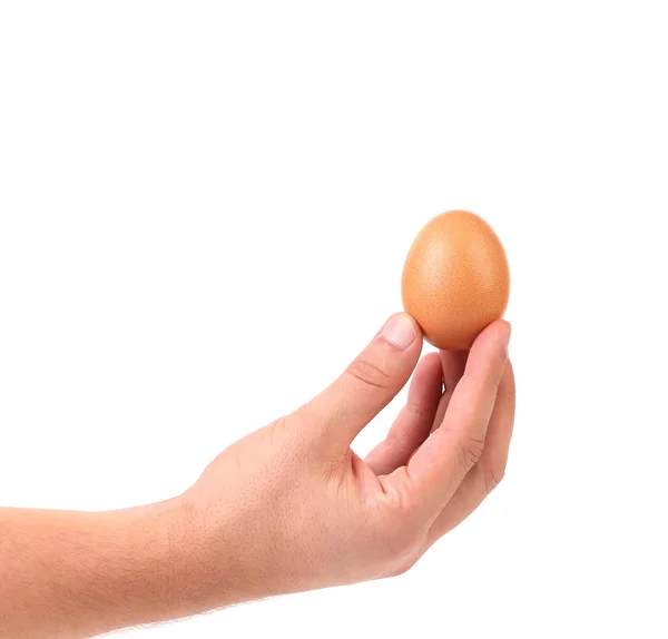 Mãos a segurar ovo — Fotografia de Stock