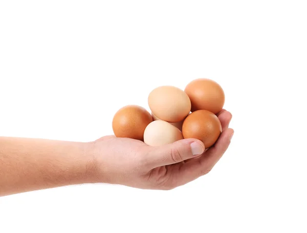 Руки держат изолированные яйца — стоковое фото