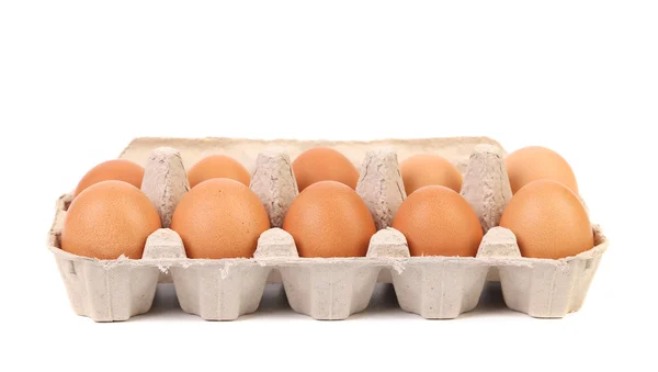 Ten brown eggs in egg box. — Stock Photo, Image