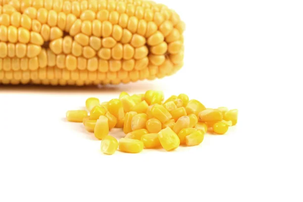 Tasty yellow ear of corn. There is space for text. — Stock Photo, Image