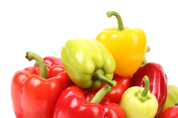 Multi-colour peppers. Stock Picture