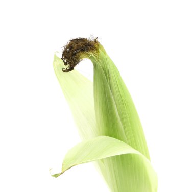 üst kapalı mısır koçanı.