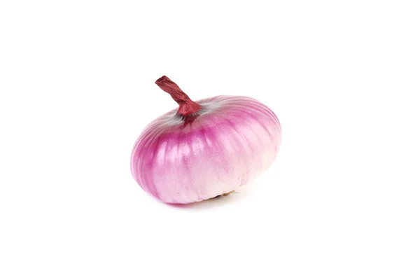 Red onion — Stock Photo, Image