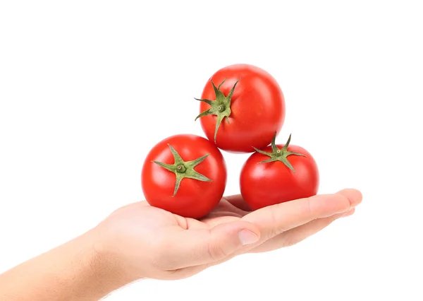 Hand holds three red ripe tomatoes — Stock Photo, Image