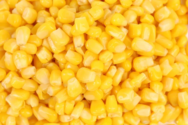Ingeblikte maïs achtergrond. — Stockfoto