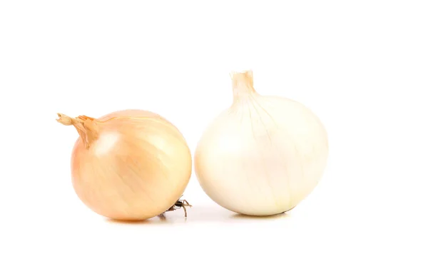 White and golden onion — Stock Photo, Image