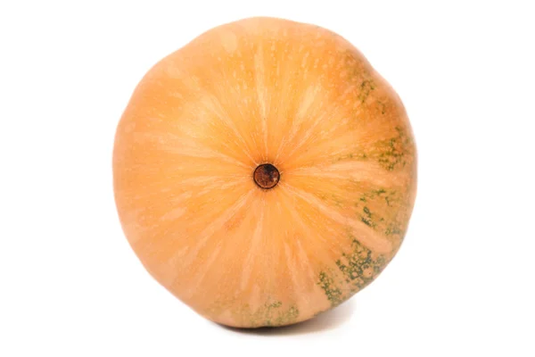 Fresh pumpkin. Bottom view. — Stock Photo, Image