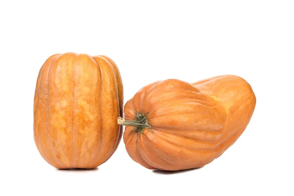 Two fresh pumpkins. — Zdjęcie stockowe