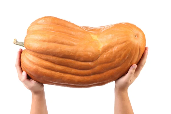 Hands holds big pumpkin. — Stock Photo, Image