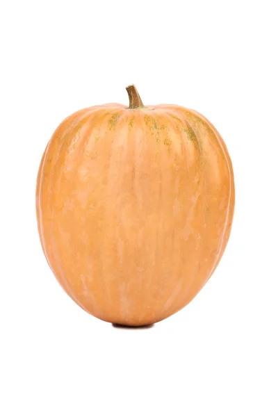 Fresh pumpkin. — Stock Photo, Image