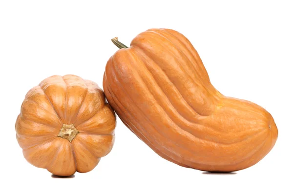 Two fresh pumpkins. — Stock Photo, Image