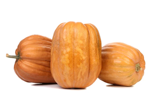 Three fresh orange pumpkin — Stock Photo, Image