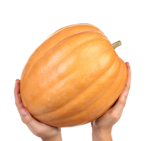 Hand holds fresh orange pumpkin — Stock Photo, Image