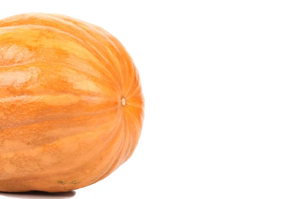 Verse Pumpkin. — Stockfoto