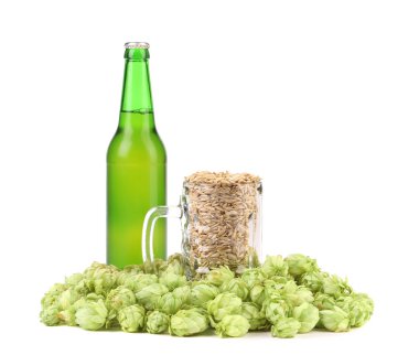 hop ile bira şişesi ve arpa kupa.