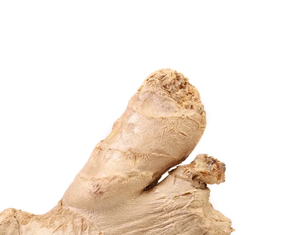 Close up of Fresh ginger. — Stock Photo, Image