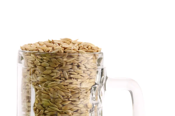 Close up of beer mug with barley. — Stock Photo, Image