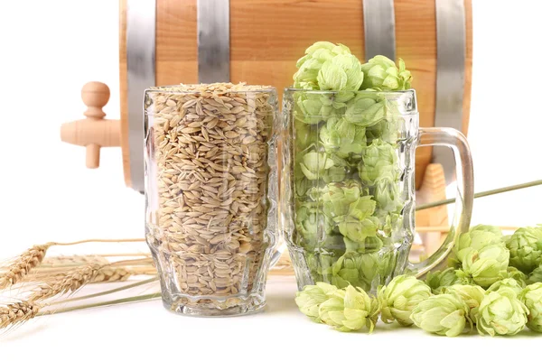 Zwei Becher mit Gerste und Hopfen. — Stockfoto