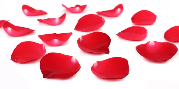Close up of red rose petals. — Stock Photo, Image