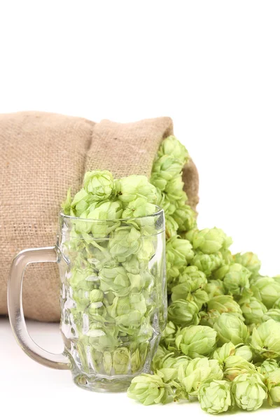 Sack and mug with hop. — Stock Photo, Image