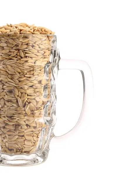 Beer mug with barley. — Stock Photo, Image