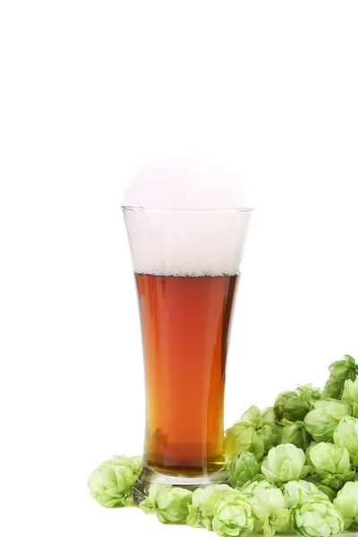 Cerveja em um copo e salto verde . — Fotografia de Stock