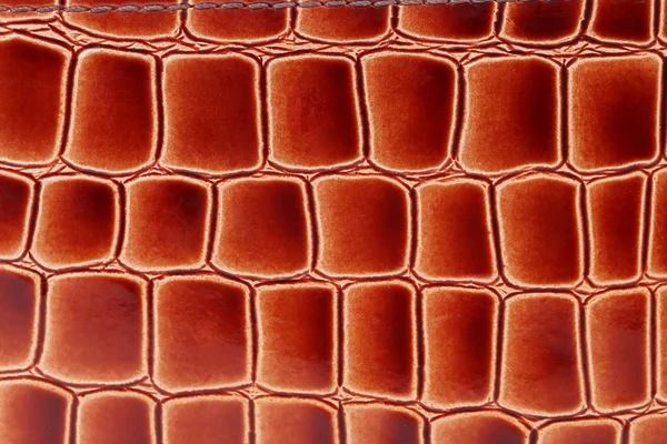 Red brown color of crocodile skin. — Stock Photo, Image