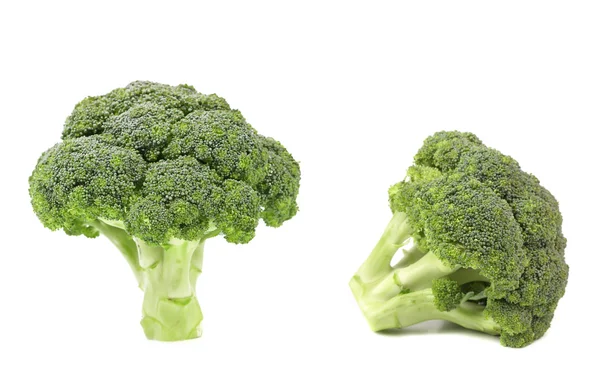 Twee verse gezonde broccoli. — Stockfoto