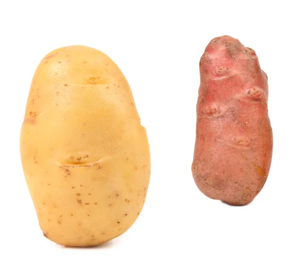 Iki farklı taze patates. — Stok fotoğraf