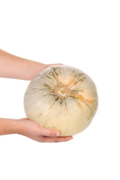 Beatiful pumpkin in hands. — Stock Photo, Image