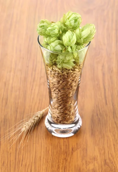 Closeup of glass with grains and hop. — Stock Photo, Image