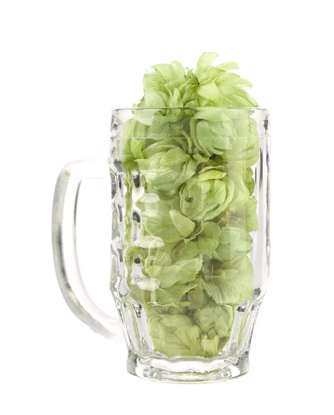 Mug of hop flowers. — Stock Photo, Image