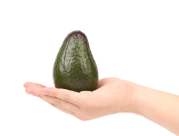 Hand houdt verse avocado. — Stockfoto