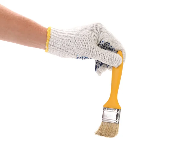 Hand in gloves holds brush. — Stock Photo, Image