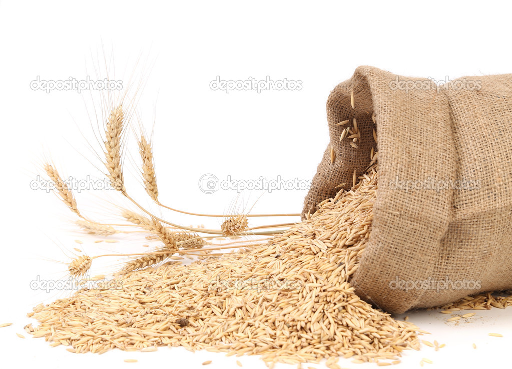 Sack with grains and ear of wheat.