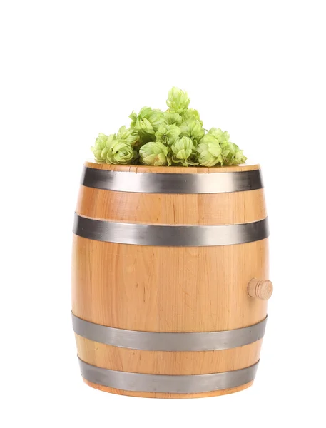Barrel with hop on top. — Stock Photo, Image