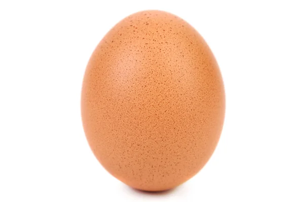 Whole egg — Stock Photo, Image