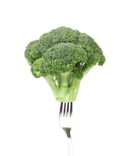 Broccoli impaled on a fork. — Stock Photo, Image