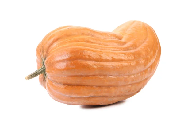 Fresh orange pumpkin. — Stock Photo, Image