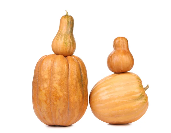 Composition of fresh orange pumpkin. — Stock Photo, Image
