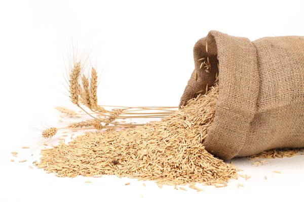 Sack with grains and ear of wheat. — Stock Photo, Image