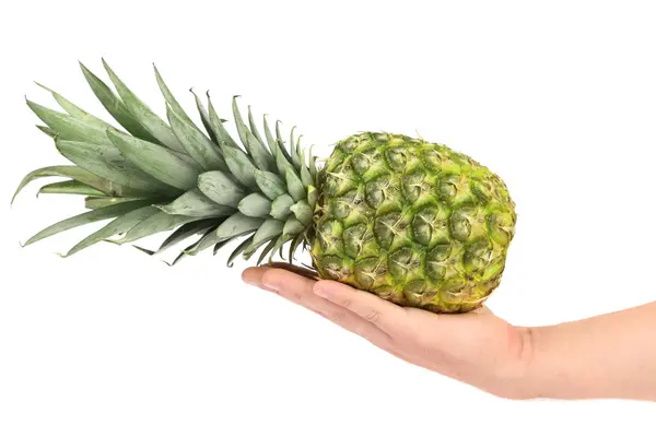 Hand holds of the ripe pineapple. — Stock Photo, Image