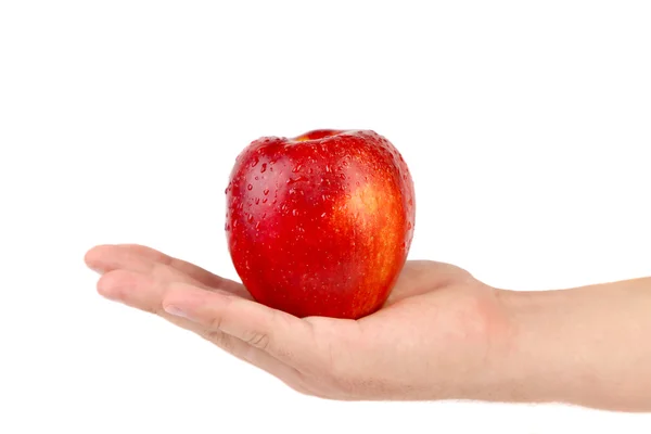 Ręka trzyma czerwone jabłko. — Zdjęcie stockowe