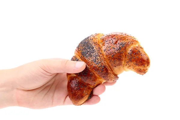 Ruka drží chutný croissant. — Stock fotografie