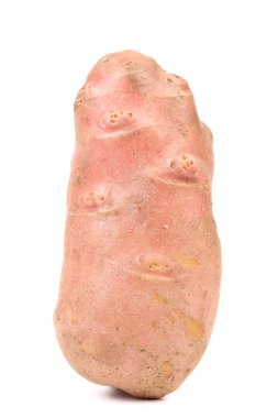 Beyaz Arkaplanda Kırmızı Patates