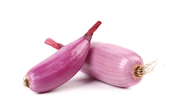 Red onion bulbs — Stock Photo, Image