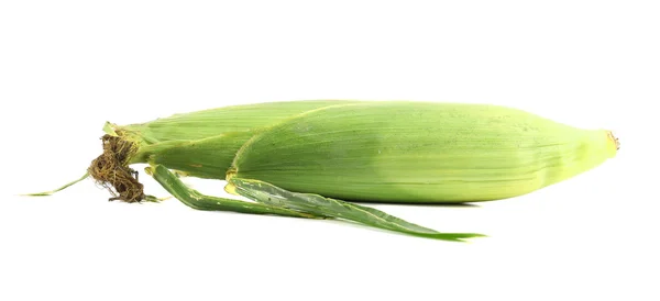 Mazorca de maíz cerrada . —  Fotos de Stock